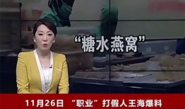 辛巴事件女主爆料视频播放,辛巴事件女主爆料视频播放引发热议