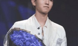 圈内爆料肖战和王俊凯,揭秘娱乐圈的神秘邂逅