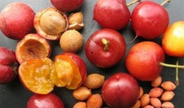 山楂加工爆料视频大全图片,从采摘到成品，一图览尽美味诞生记