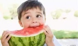 免费吃瓜的贴吧,揭秘热门贴吧背后的娱乐狂欢