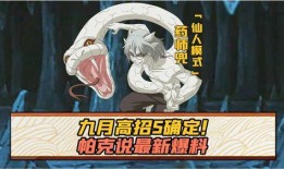 九月高招最新爆料,最新爆料揭示高考政策与招生动态