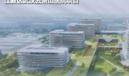 武汉爆料新消息最新,揭秘疫情下的城市动态与挑战