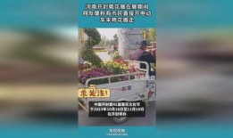 开封网民爆料最新新闻