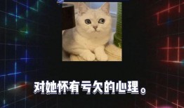 娱乐八卦快乐吃瓜,快乐吃瓜，揭秘明星幕后故事