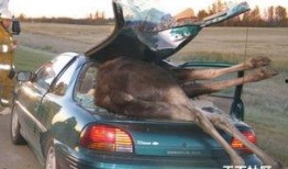 爆料热线车祸新闻最新