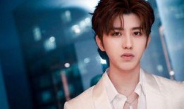 蔡徐坤事件爆料全程视频,真相与争议交织