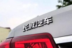 蔡老板爆料长城汽车视频,蔡老板揭秘企业真实面貌