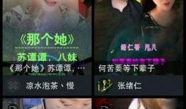 潮州爆料抖音事件视频播放,视频播放背后的真相与争议