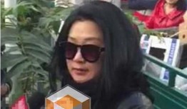 陶虹爆料张铁林了吗视频,视频曝光娱乐圈惊人真相！