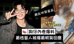 张大锤爆料歌手视频,揭秘歌手幕后故事