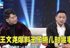 小王的爆料视频大全,揭秘娱乐圈幕后真相