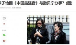 散磕圈内人爆料