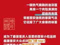 金凤万达爆料视频播放大全,揭秘幕后真相与精彩瞬间