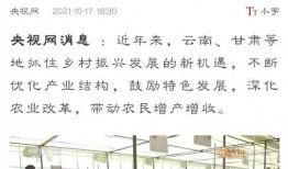 嵩明县新闻爆料,聚焦民生热点，揭示社会现象
