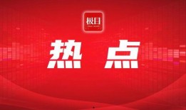 极目新闻视频号爆料方法,轻松掌握爆料技巧，助力新闻传播