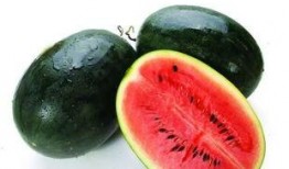 威海吃瓜网红有哪些名字,瓜界风云人物大揭秘