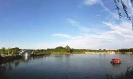 河南都市爆料周口新闻最新消息,周口突发！河南都市爆料最新事件详情揭晓