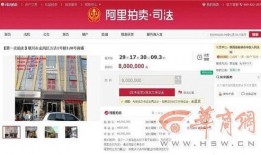 金凤万达爆料视频播放大全,揭秘幕后真相与精彩瞬间