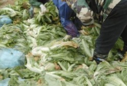 老坛酸菜爆料新闻视频,揭秘食品行业潜规则与消费者权益受损