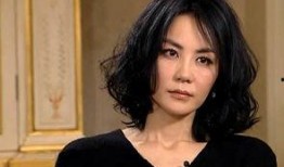 甄妮爆料王菲视频播放,视频播放背后的惊人内幕