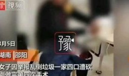 九月高招最新爆料,最新爆料揭示高考政策与招生动态