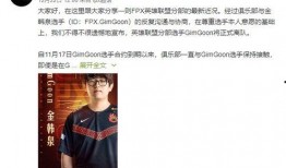 散磕圈内人爆料