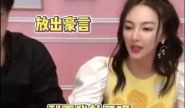 辛巴事件女主爆料视频播放,辛巴事件女主爆料视频播放引发热议