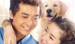 新婚公寓完整在线观看,甜蜜生活，笑料百出