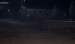 卒迹在线观看,在线观看卒迹的深度解读