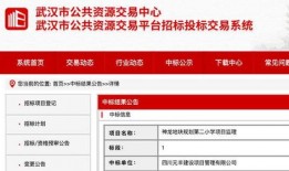 武汉爆料新消息最新,揭秘疫情下的城市动态与挑战