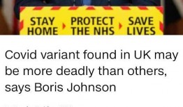 英国新冠爆料最新消息,揭秘疫情真相与政府应对策略