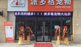 新兴宠物店爆料新闻,揭秘新兴宠物店爆火背后的秘密