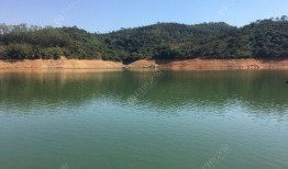 三坑水库爆料视频大全,揭秘水库背后的惊人真相