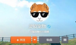 宠物博主爆料视频大全,萌宠日常大揭秘